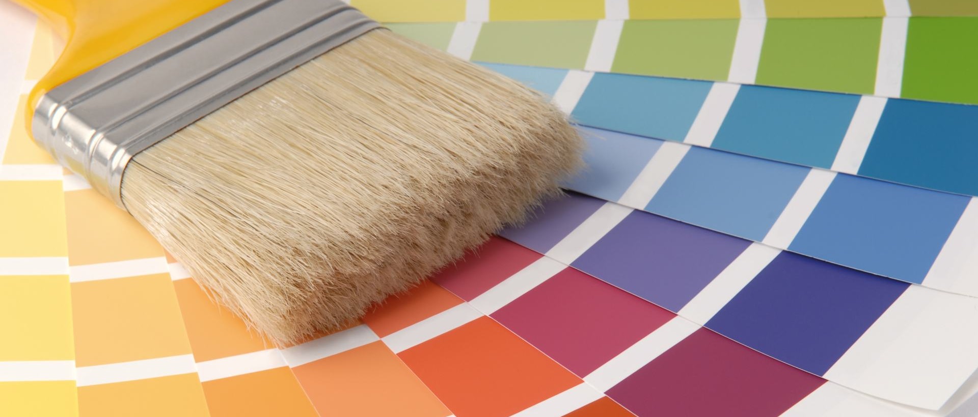Painter SE3
